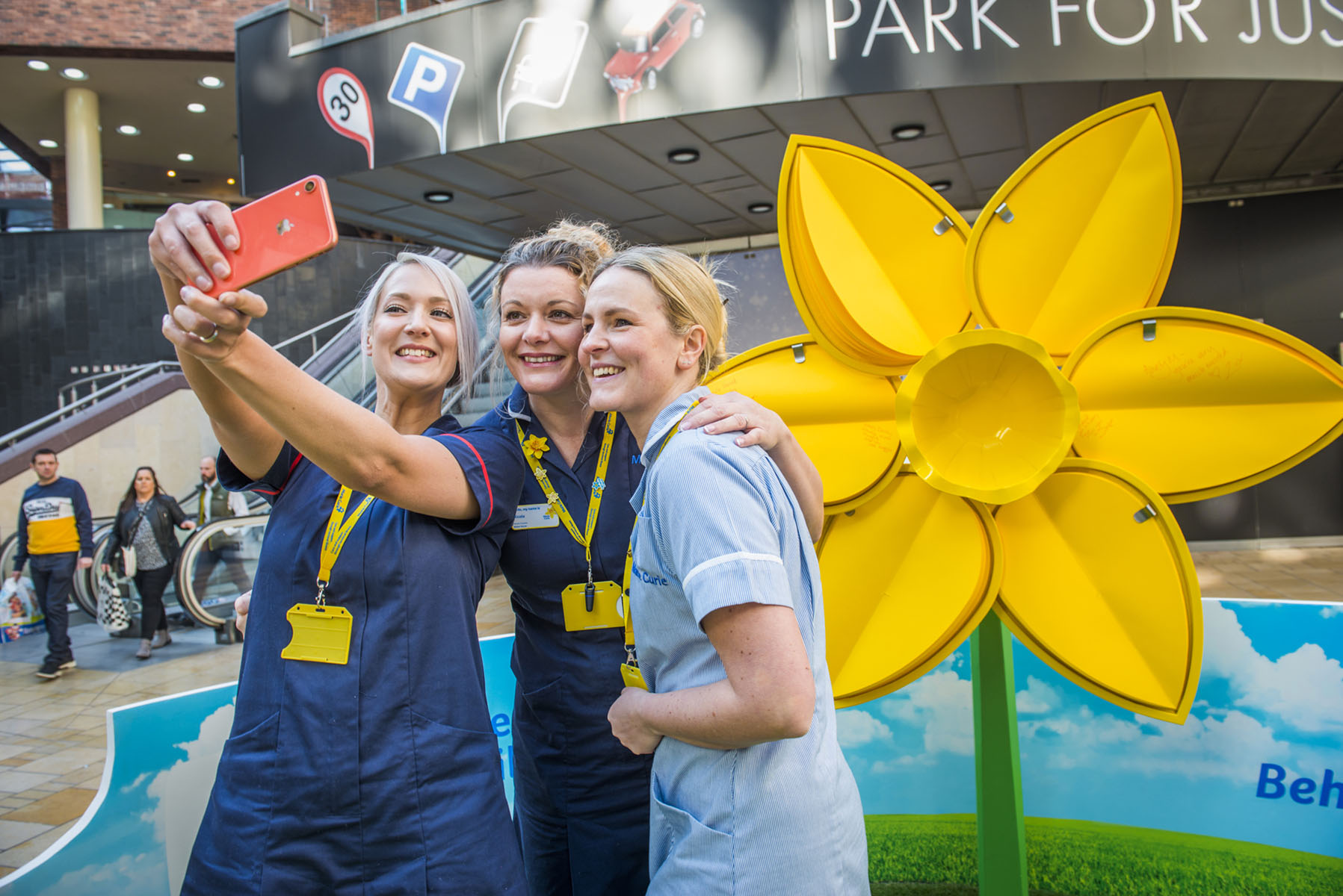 Marie Curie Daffodil Launch