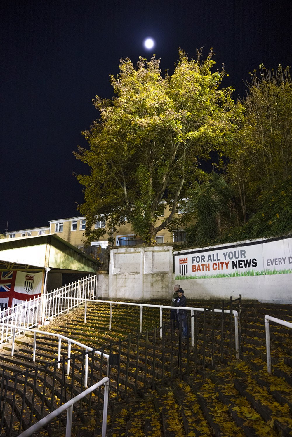 Twerton Park, autumn colour 004