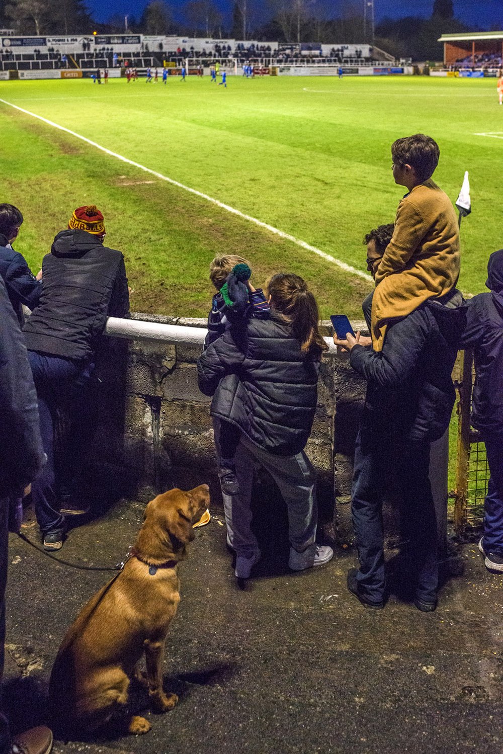 on the terraces.