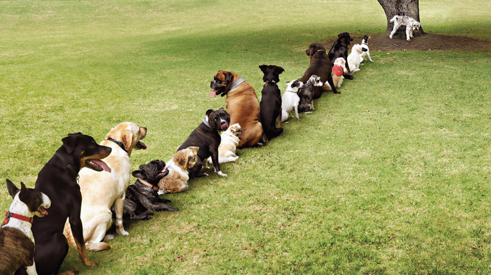 Screen Shot 2017-08-04 at 5.27.43 PM.png