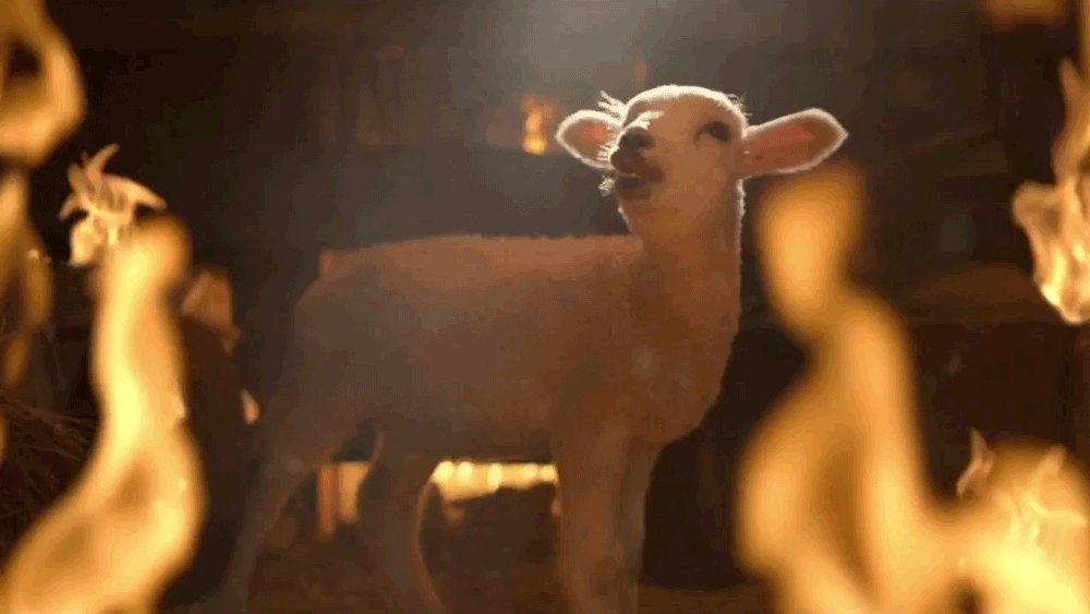 stihl.gif
