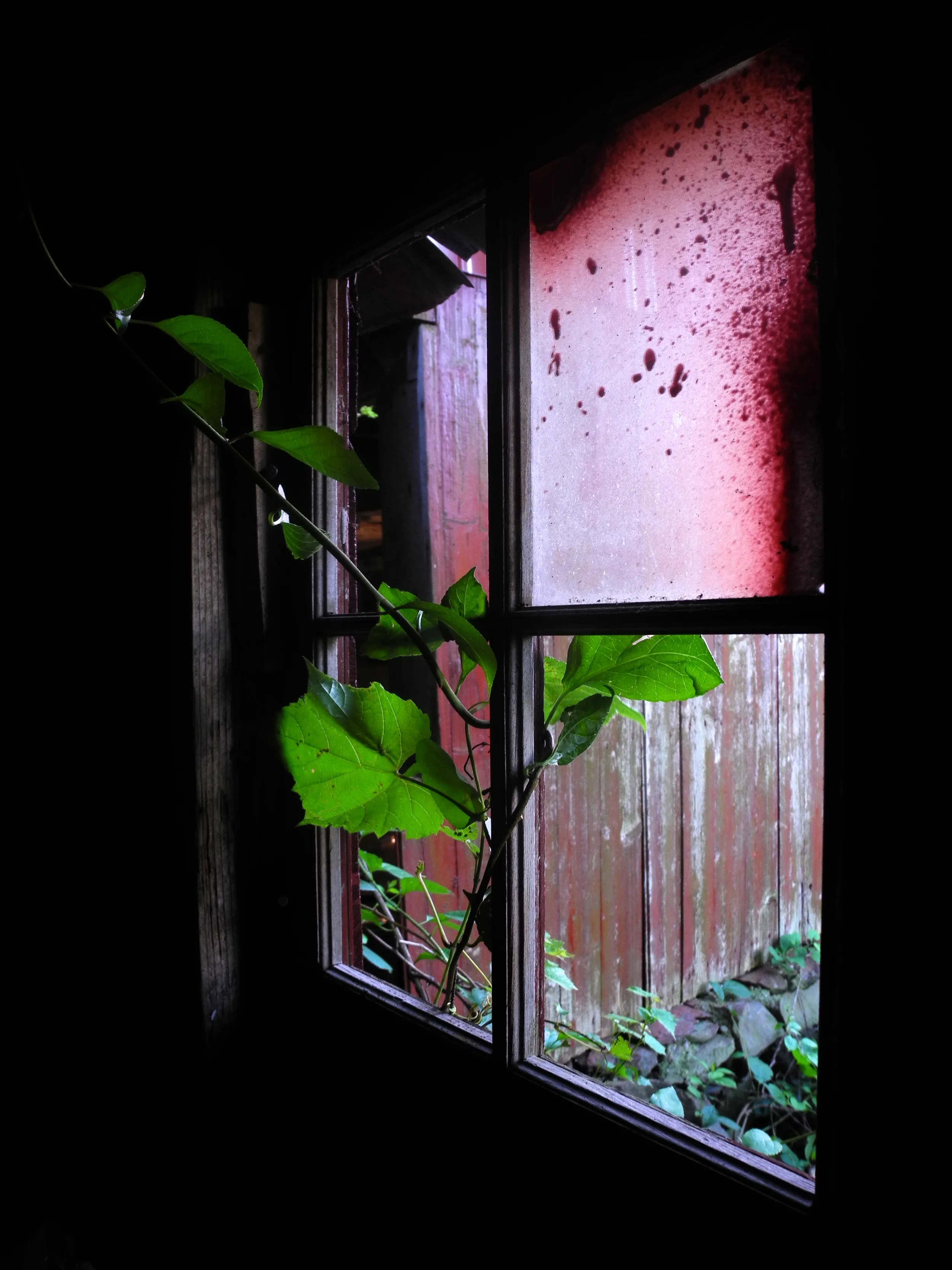 DSCN9240.jpg