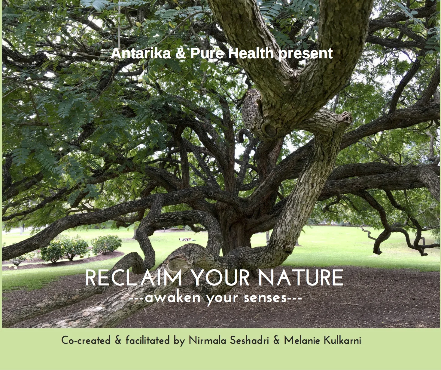 Reclaim your Nature.jpg