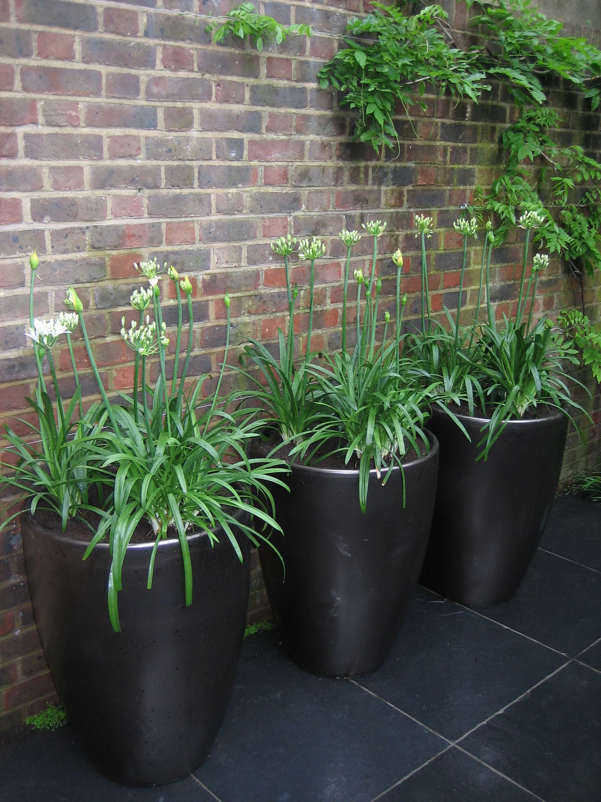 June 2006 (33).jpg
