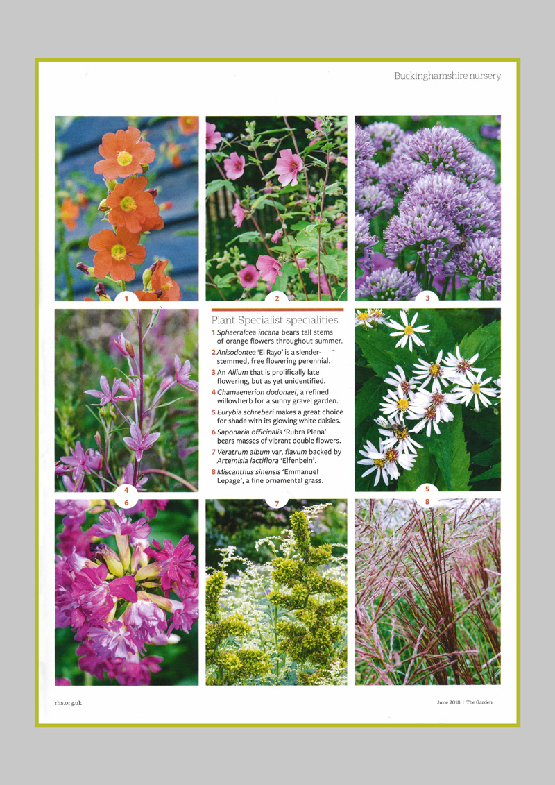 PS-PR-Garden_Page_5.jpg