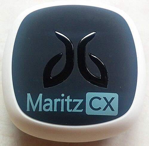 Maritz+CX.jpg