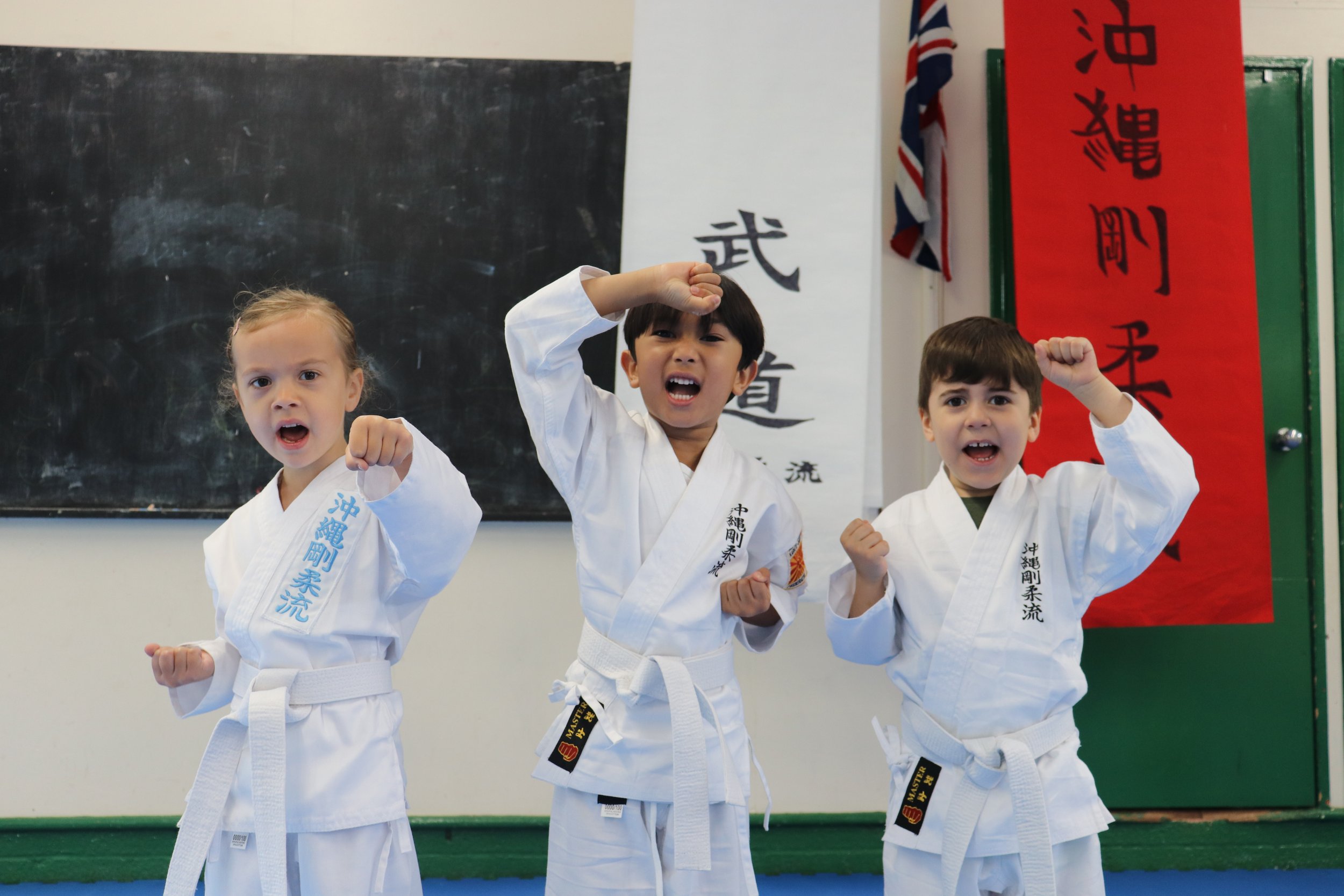 Karate Academy Post  (2).JPG