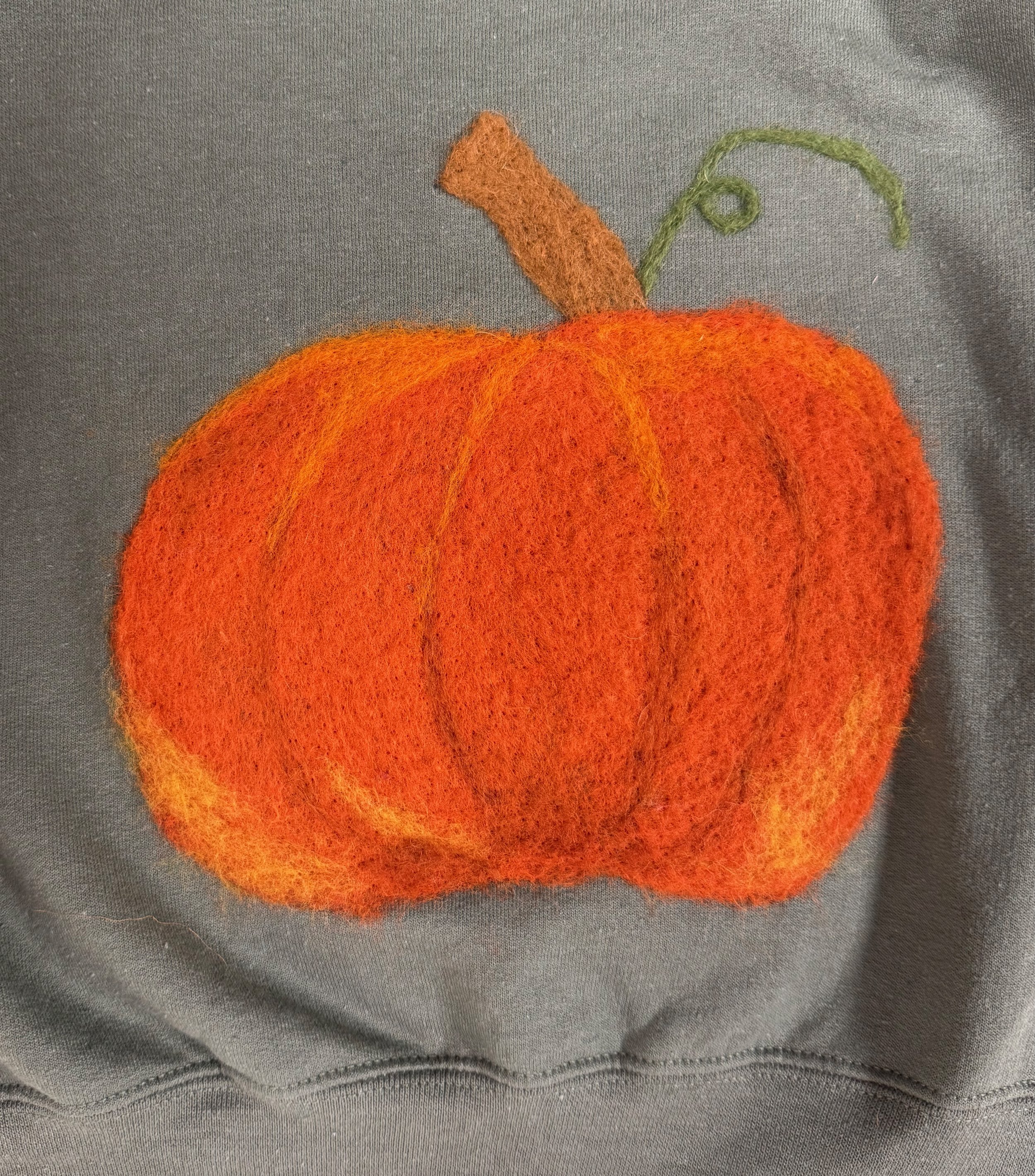 Needle Felted Sweatshirt