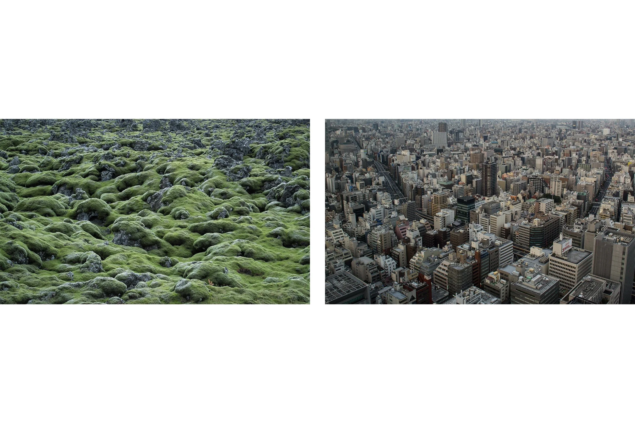 Diptychon III
