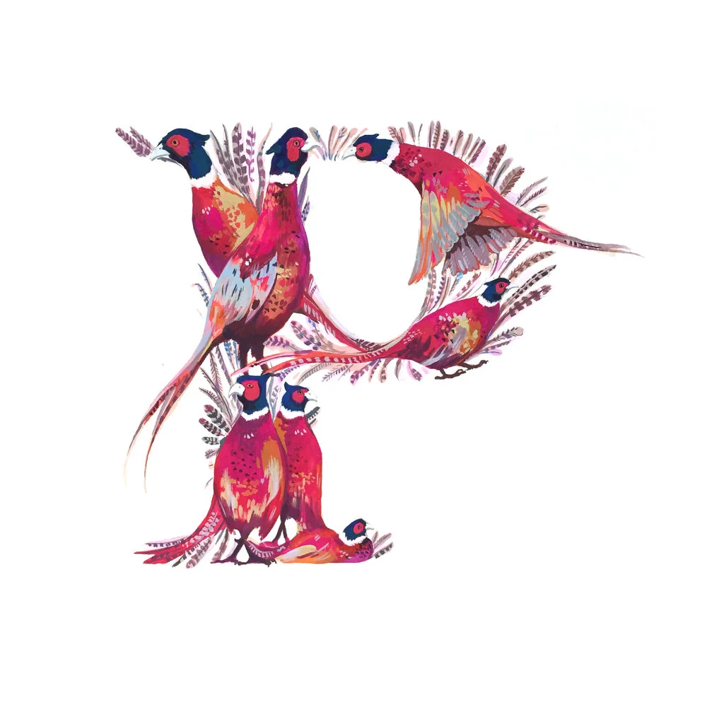 Pheasant_P_TheLetterBug_2.jpg