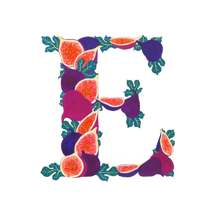 Fig_E_TheLetterBug_7.jpg