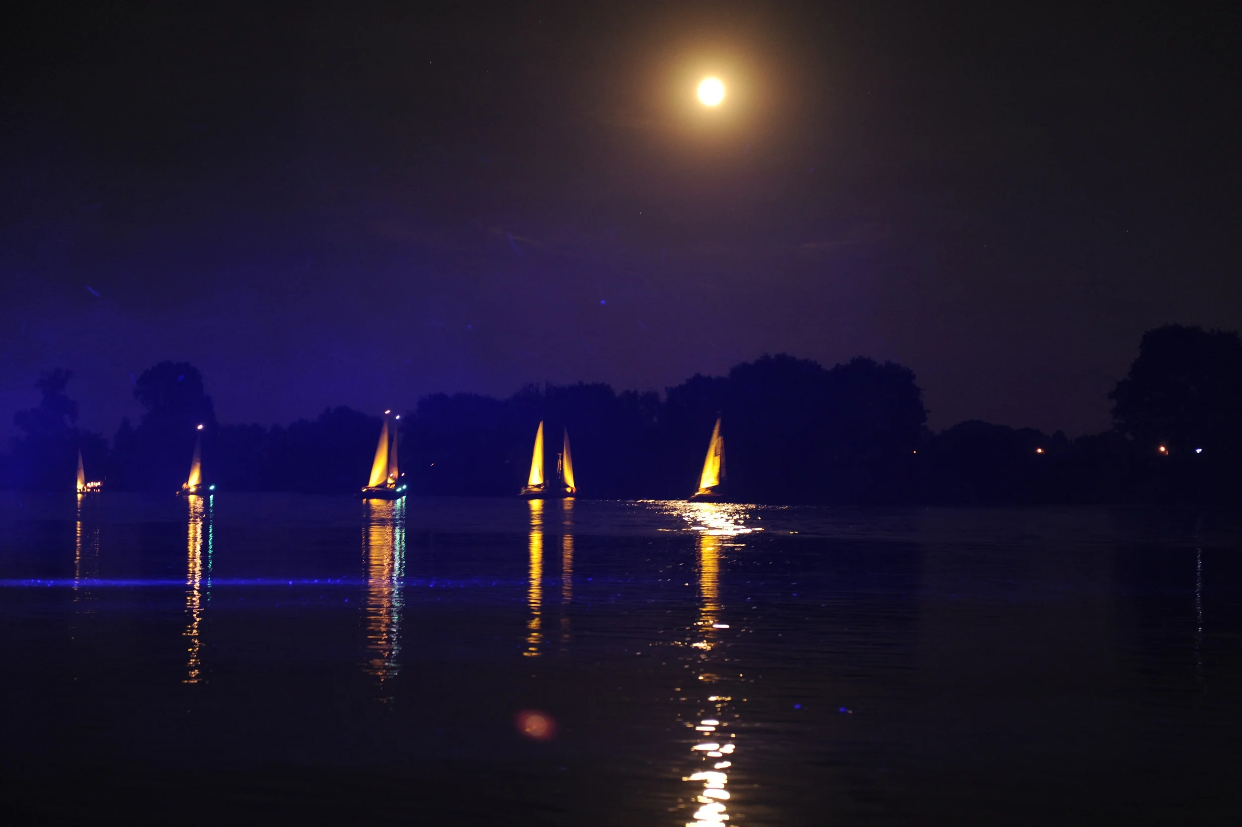 ELBHANGFEST BÄREN 05.JPG