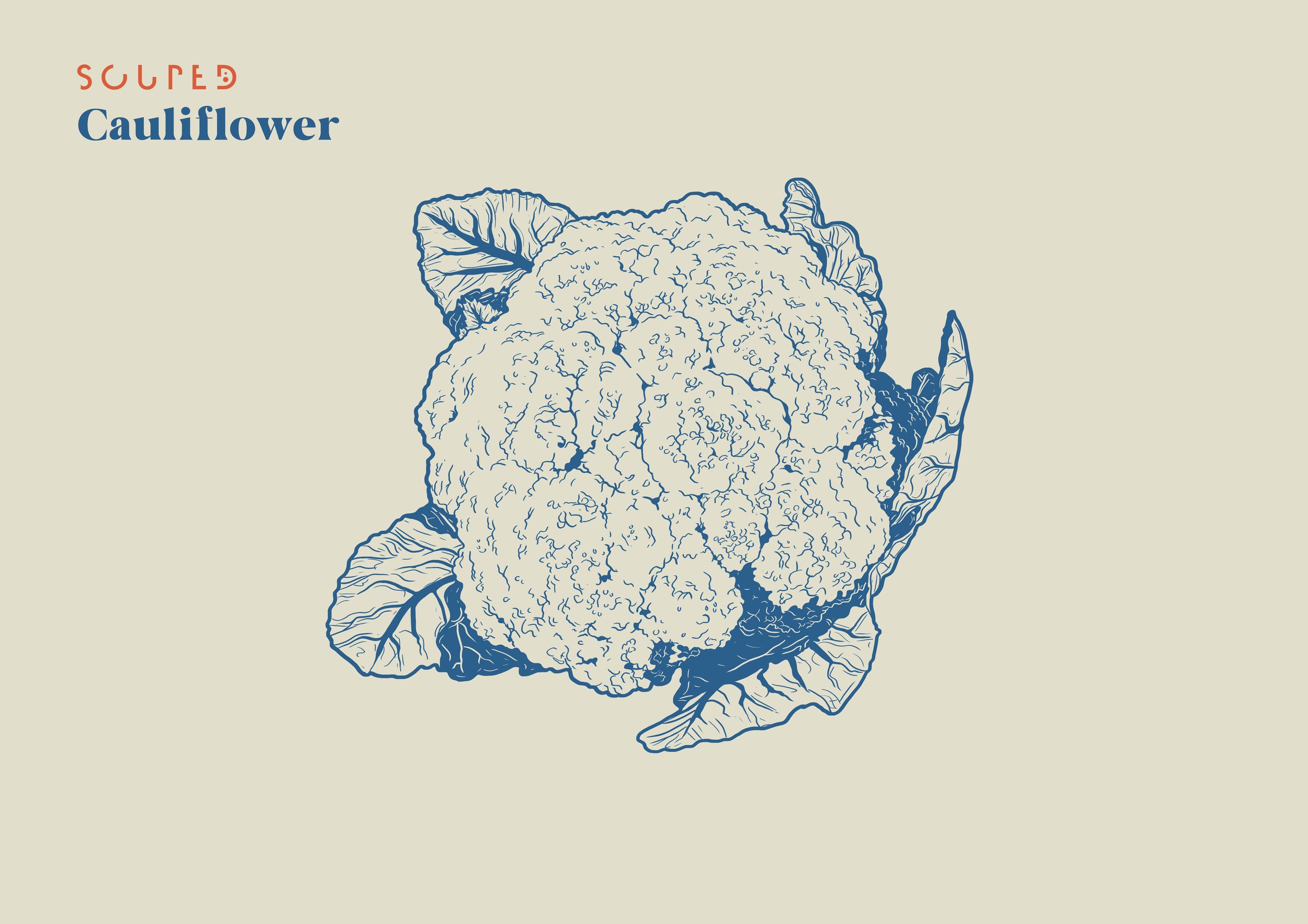 CAULIFLOWER.jpg