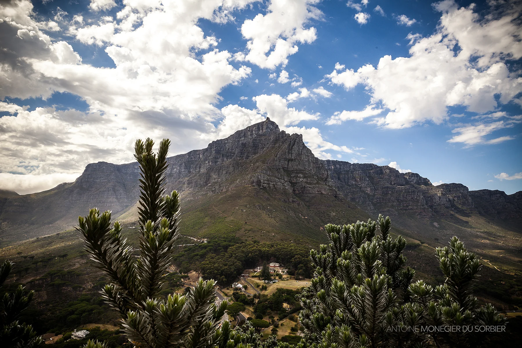 CAPE TOWN