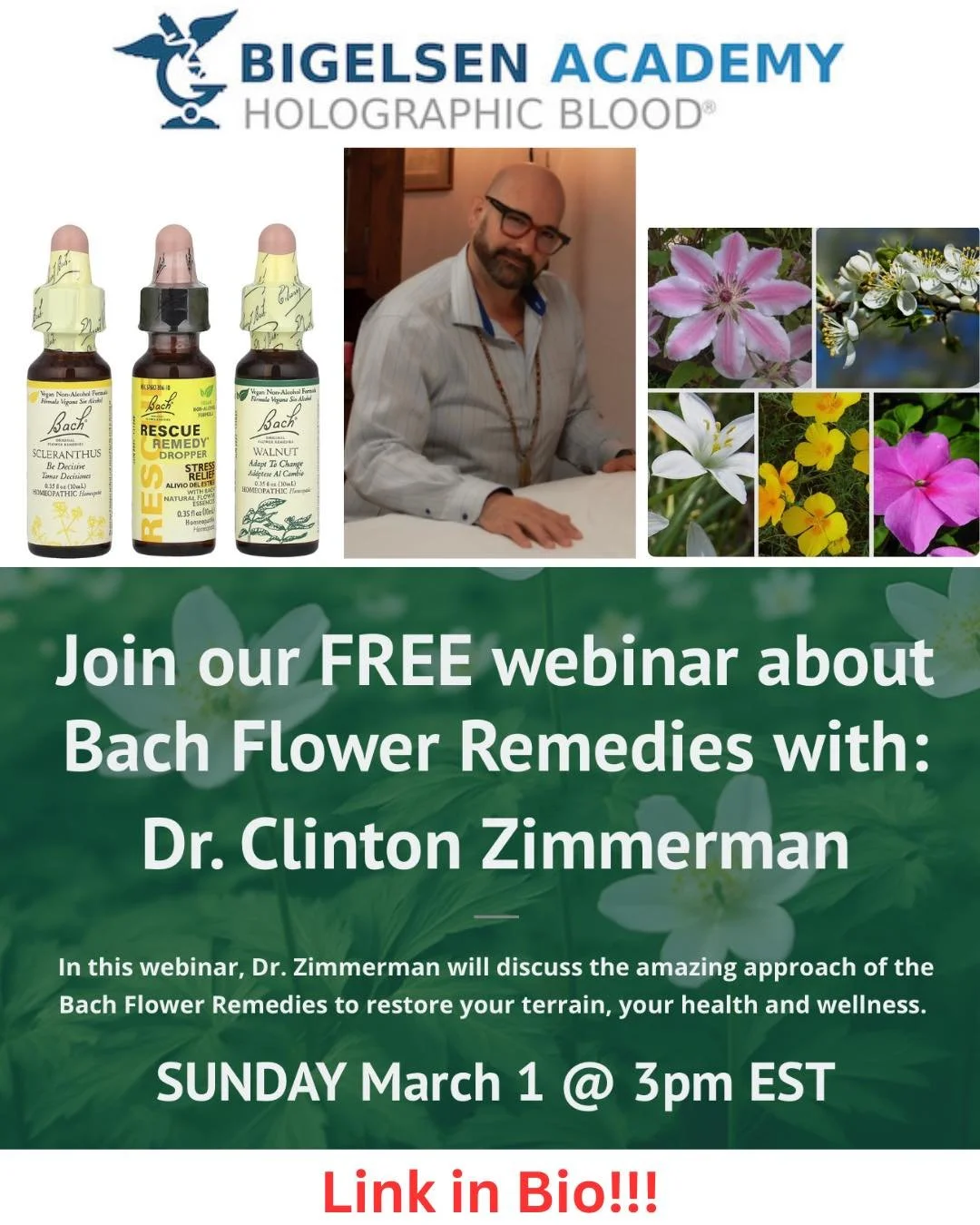 Join Dr. Zimmerman Sunday March 1st @ 3pm EST, for this free webinar on Bach Flower Remedies and how they assist you in restoring your terrain in your health and wellness journey. 

https://www.universityofterrain.com/Bach-Flower-Remedies-Webinar-reg