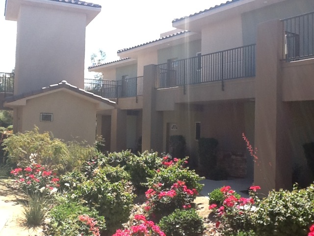 Photo 6.jpeg