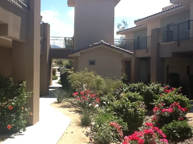 Photo 7.jpeg
