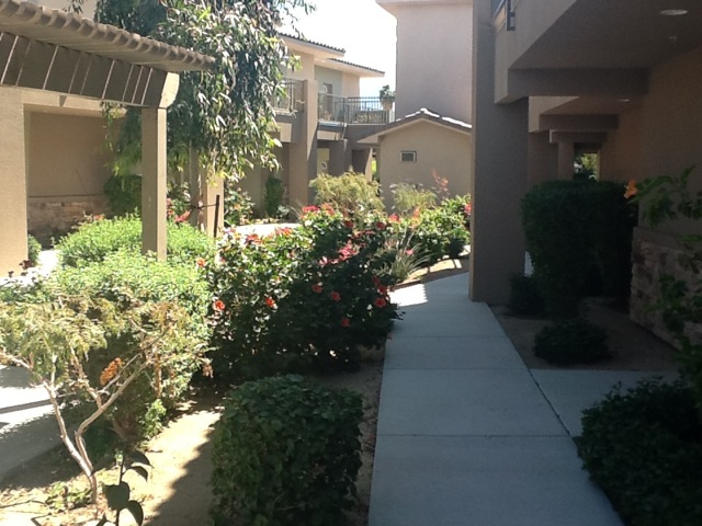 Photo 4.jpeg