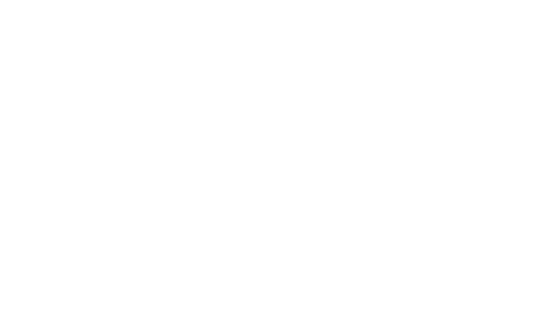 The Dynamo