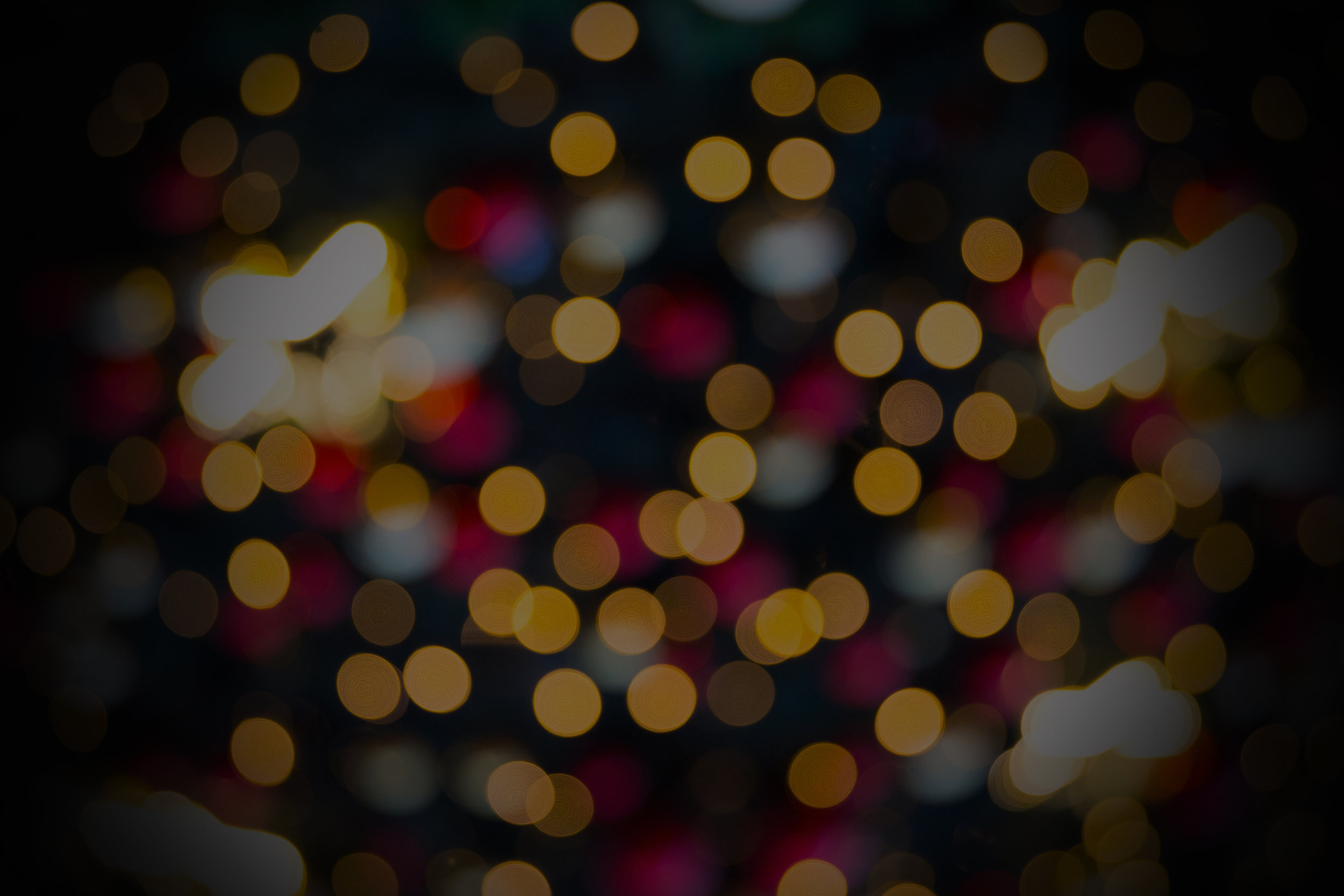 xmas_dynamo_web002.jpg