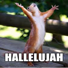At times I felt like praising and other times I felt a little nuts.