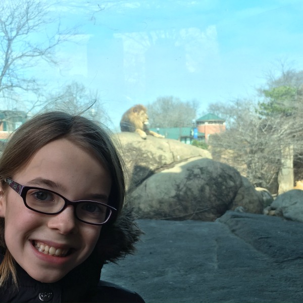 The lions were our favorites. King of the Jungle. It's good to be king.