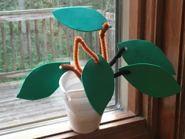 This is as green as my thumb gets. A styrofoam "plant." In case you were wondering, I do keep it on the window sill. There is absolutely no logical reason for this.