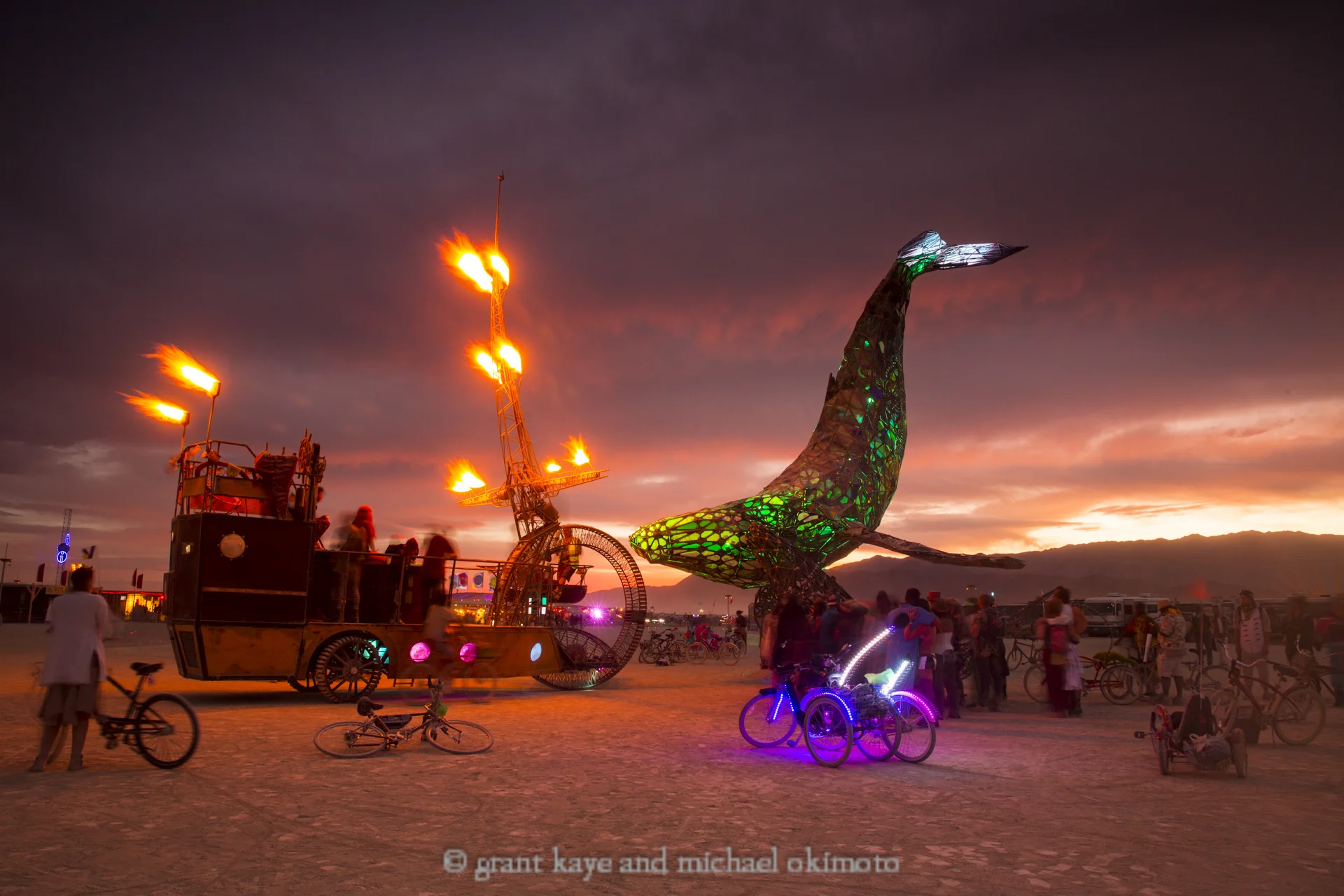 Space Whale / Pier Group