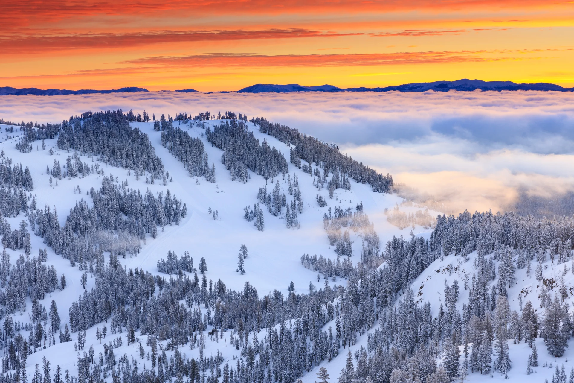 Alpine Meadows Sunrise
