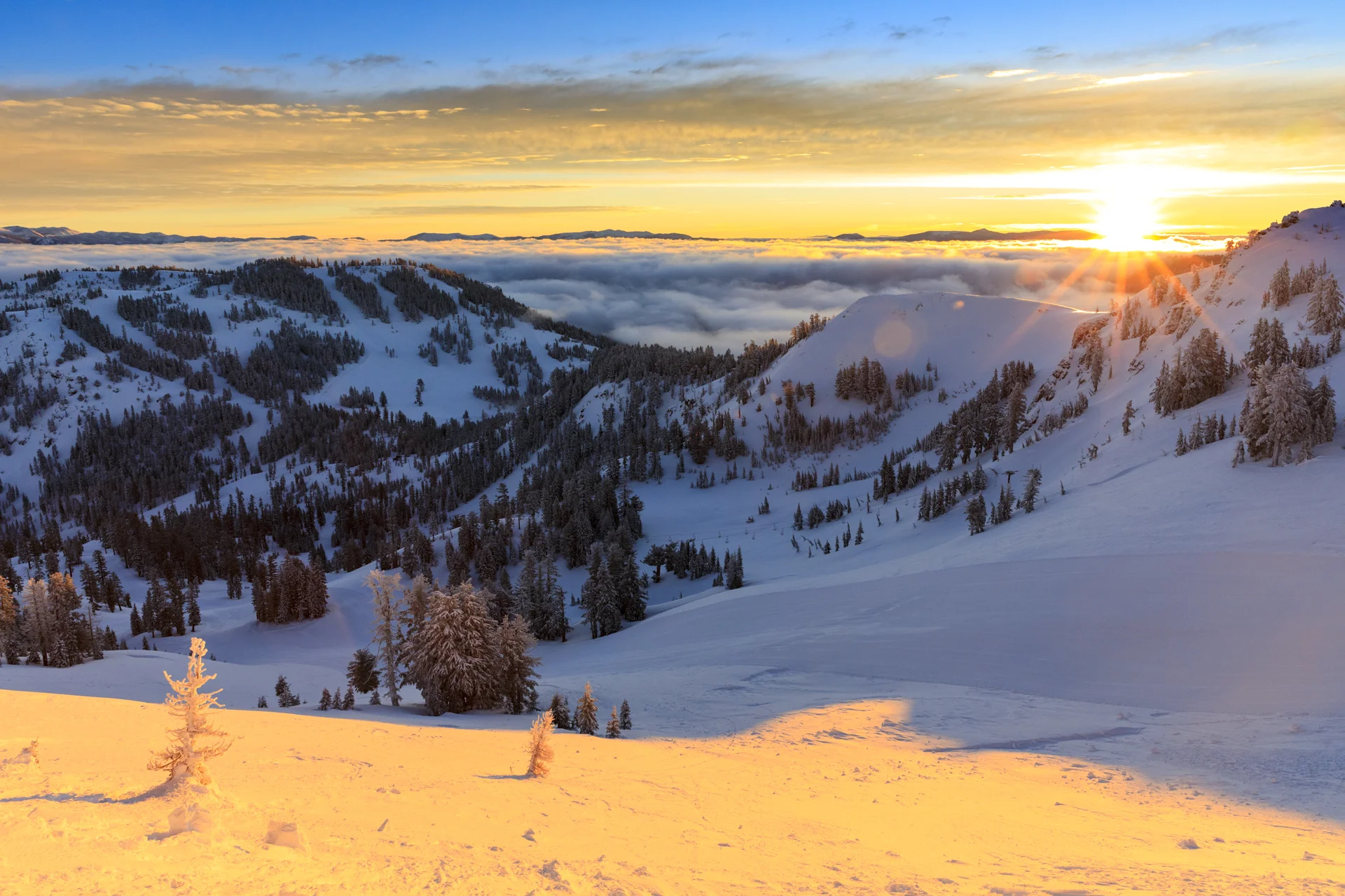 20170114_GK-SquawAlpine_9323.jpg