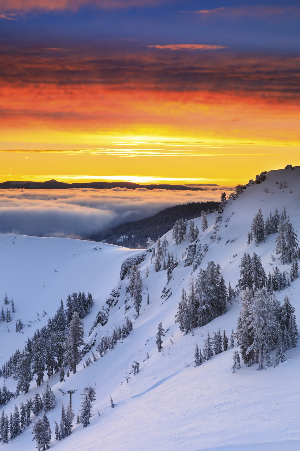 20170114_GK-SquawAlpine_.jpg