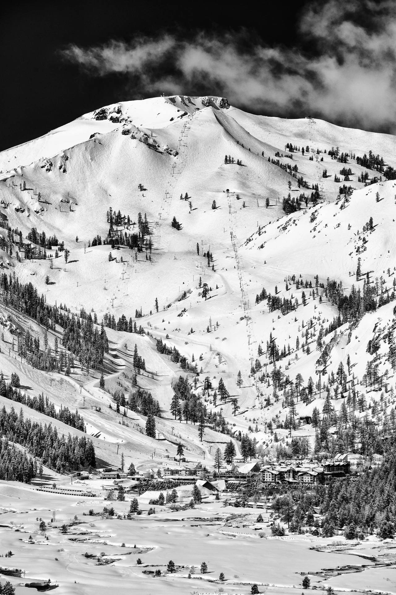 20170327_GK-SquawAlpine_9601-Edit_bw.jpg