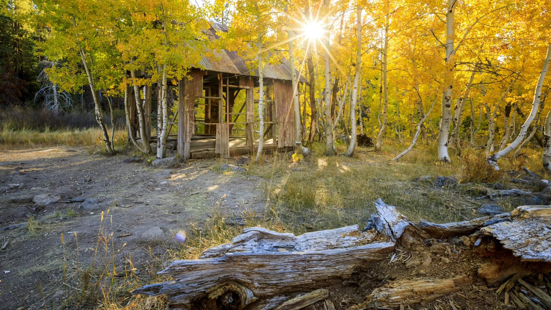20171005_GK-267Aspens_0402.jpg