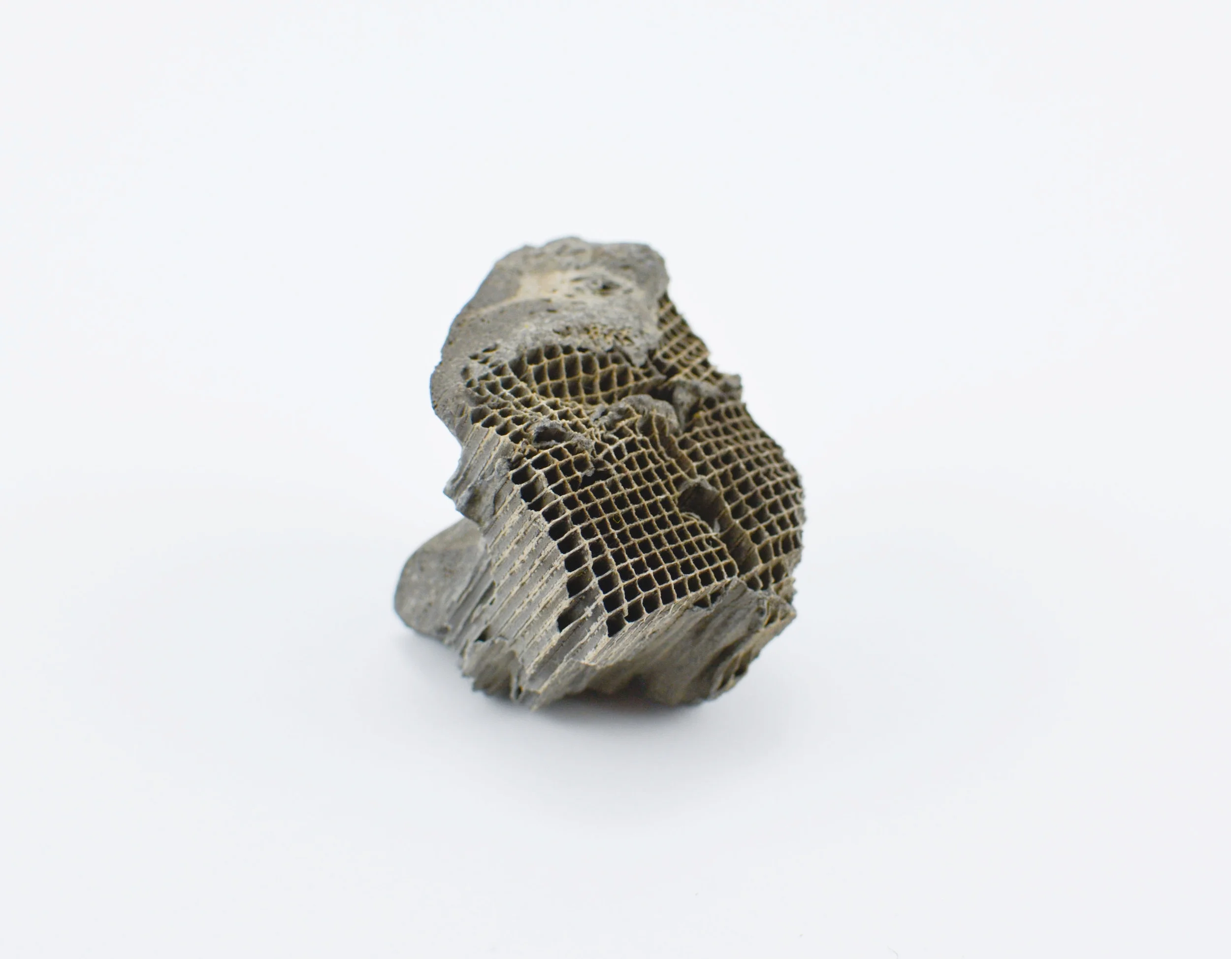Eben Bull, Melted Catalyst