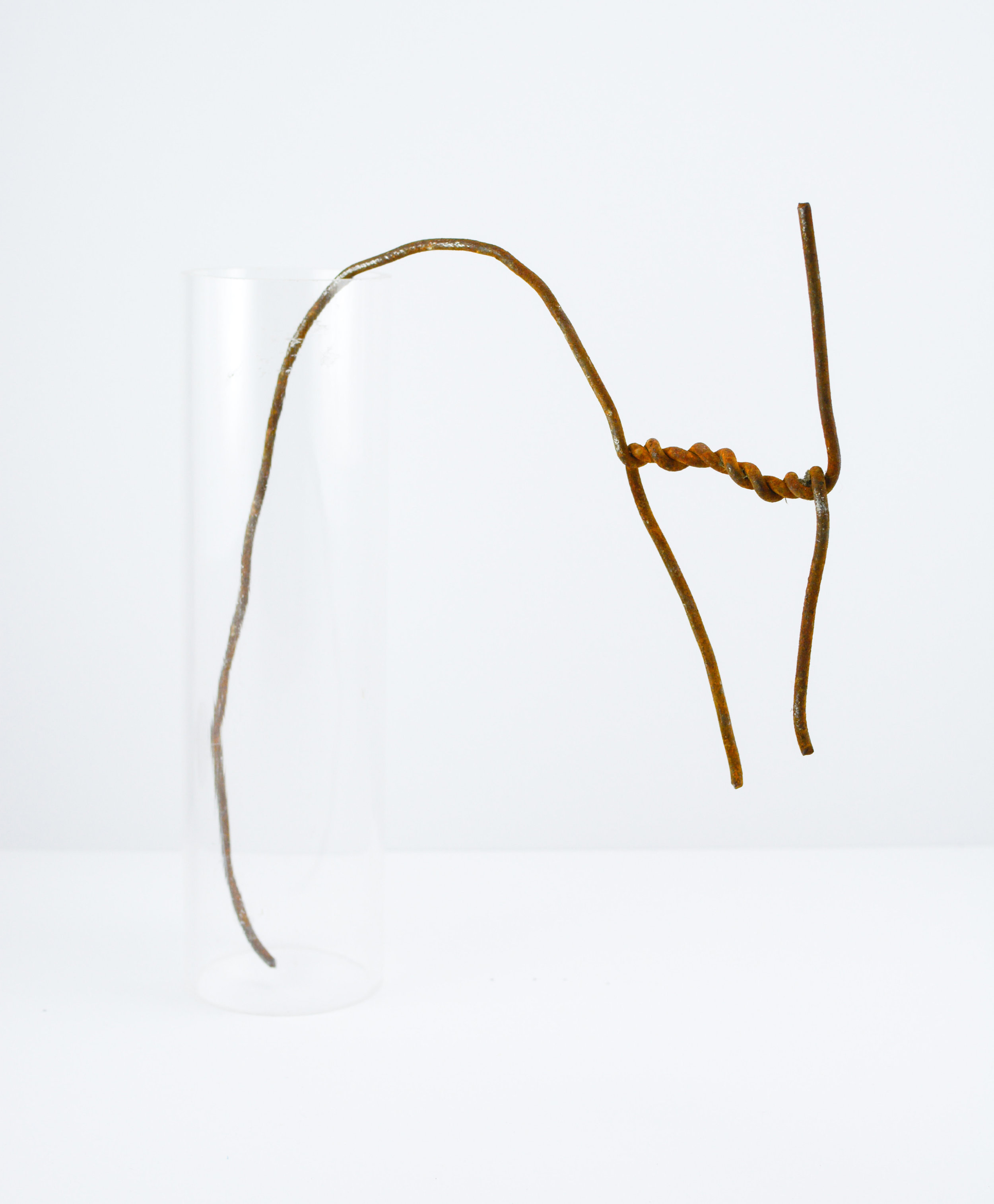  Melissa Staiger,  Rusted Wire in Plastic Tube  
