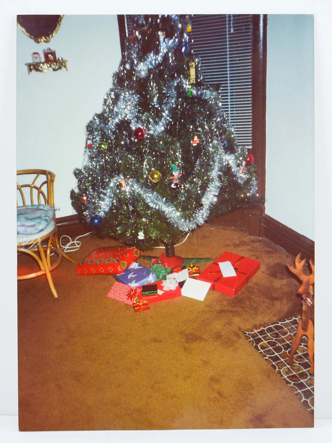 Christopher Provenzano, Image No. 1
