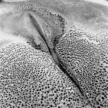 Elizabeth Glaessner, Image No. 3
