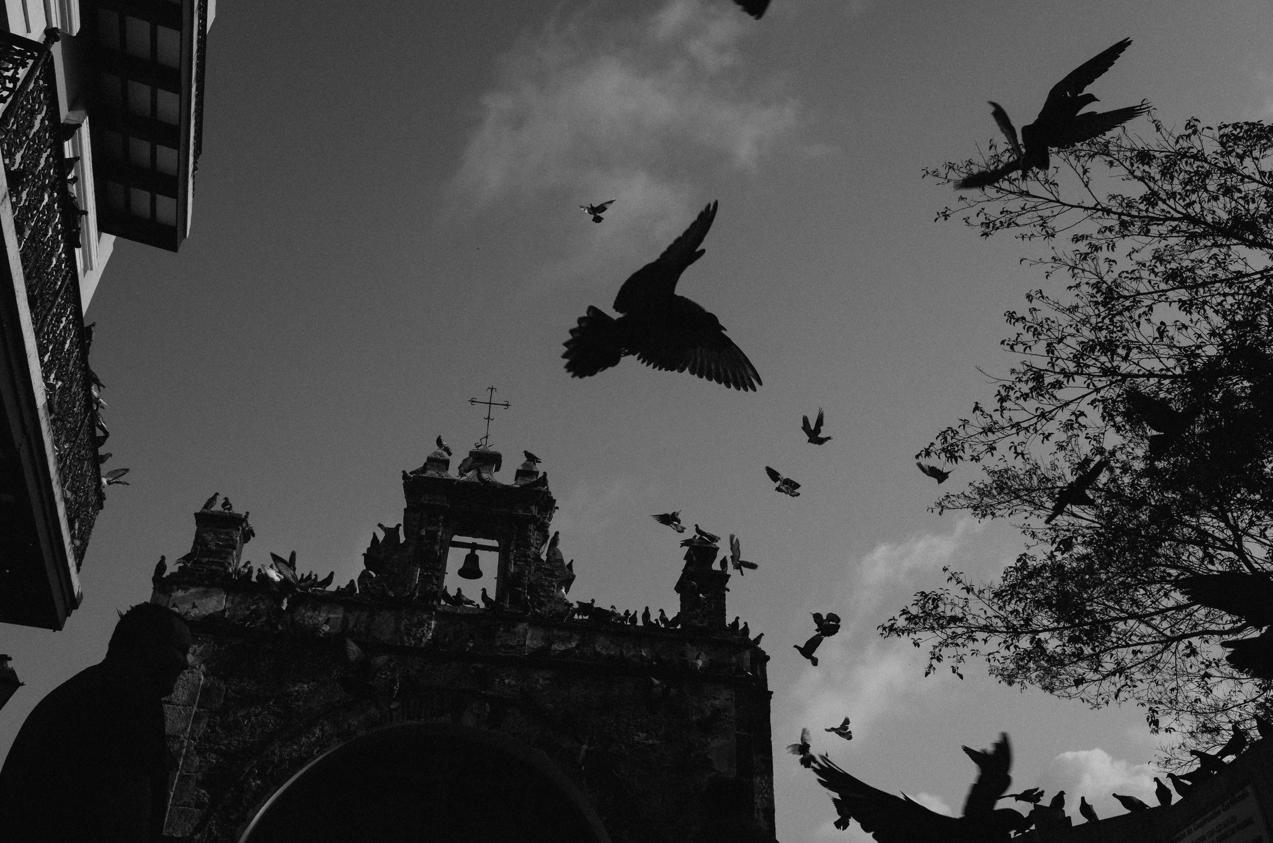 puertorico2015-19.jpg