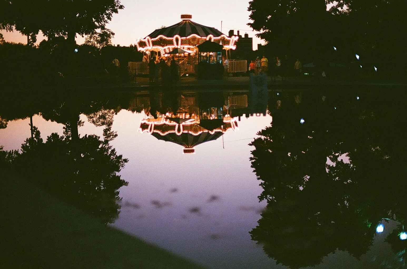 12770006.jpg