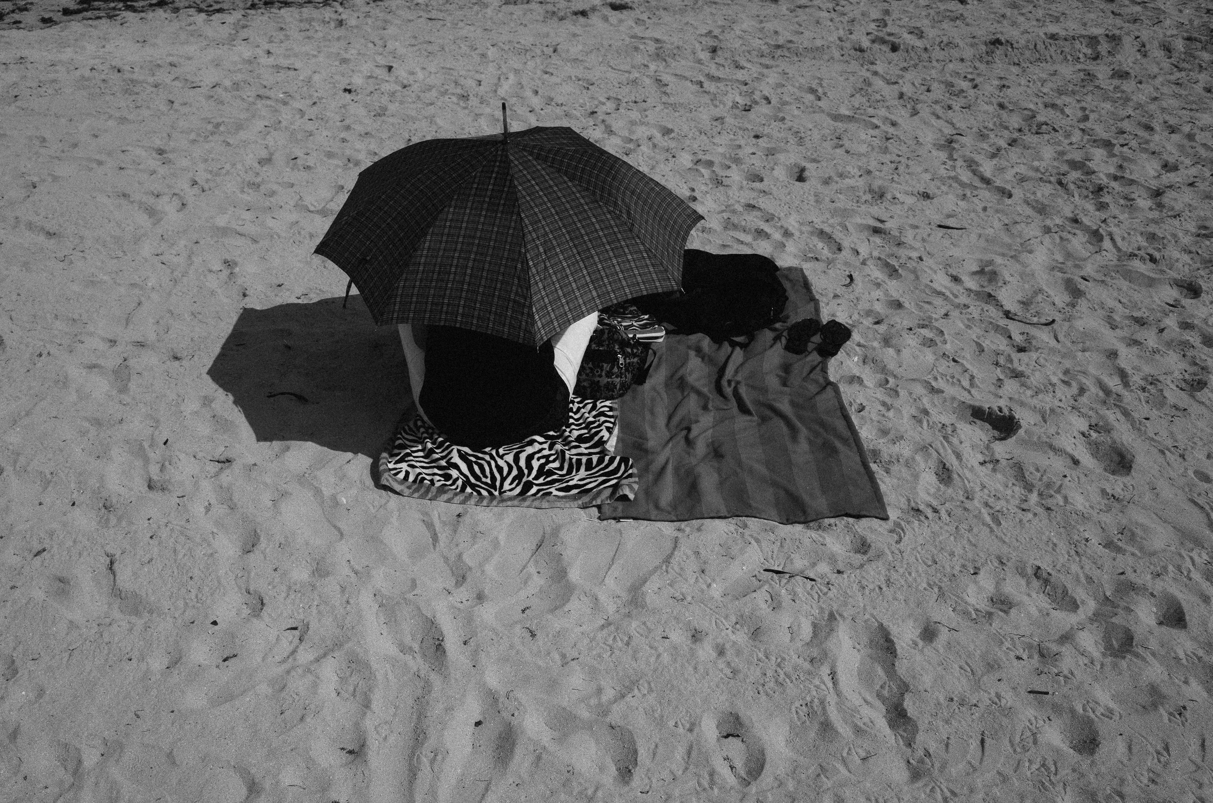beachbodies-6.jpg
