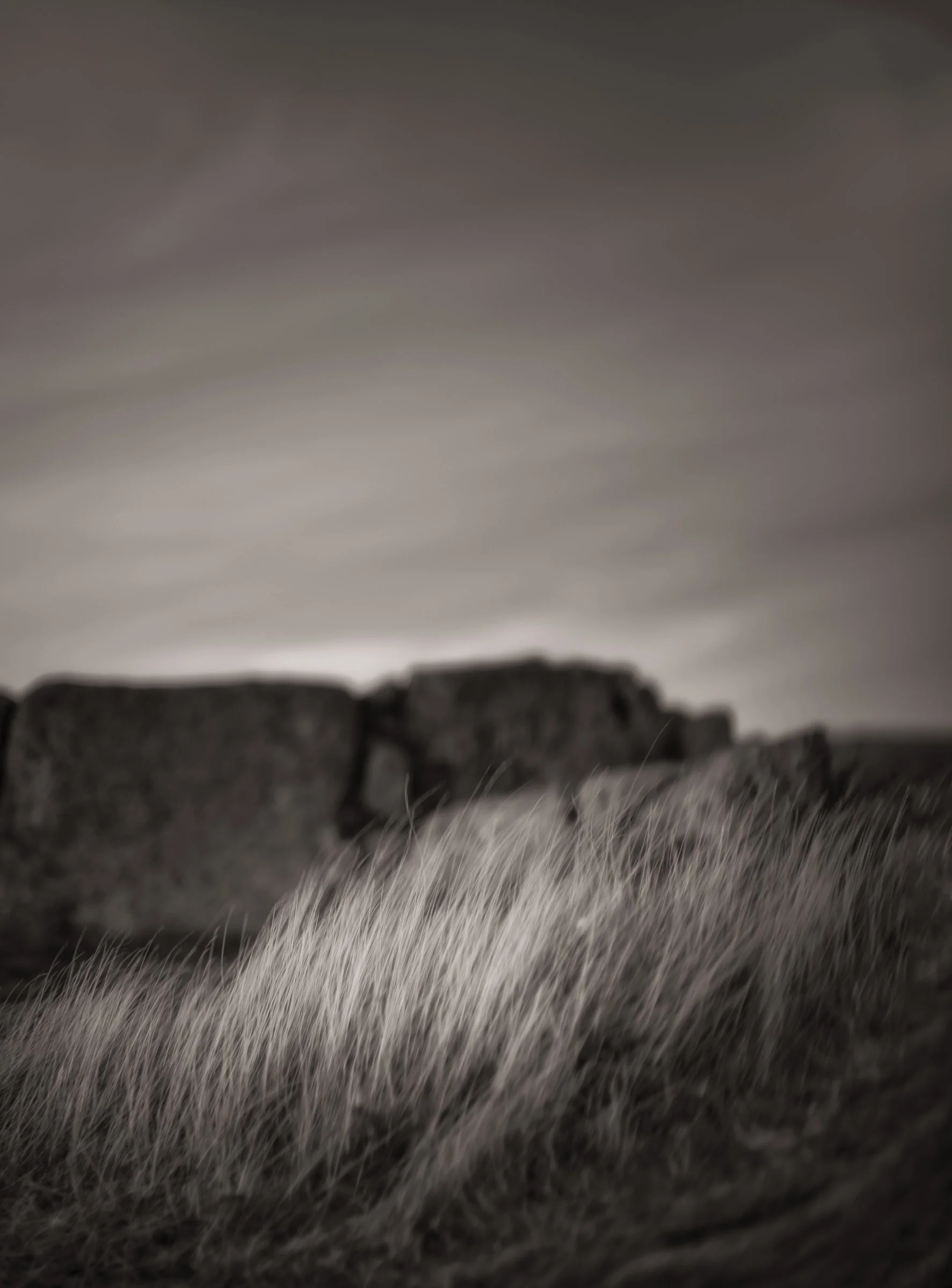 Kissed By the Wind_002.jpg