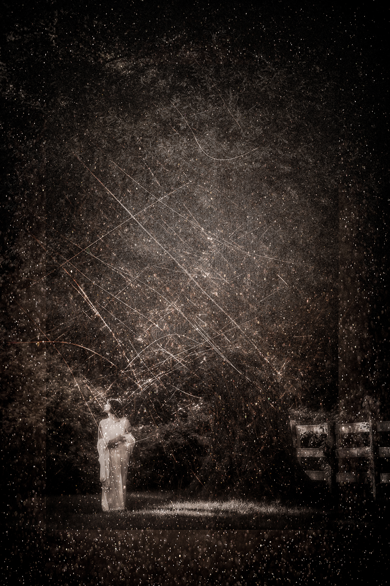 Through the Light 1.jpg