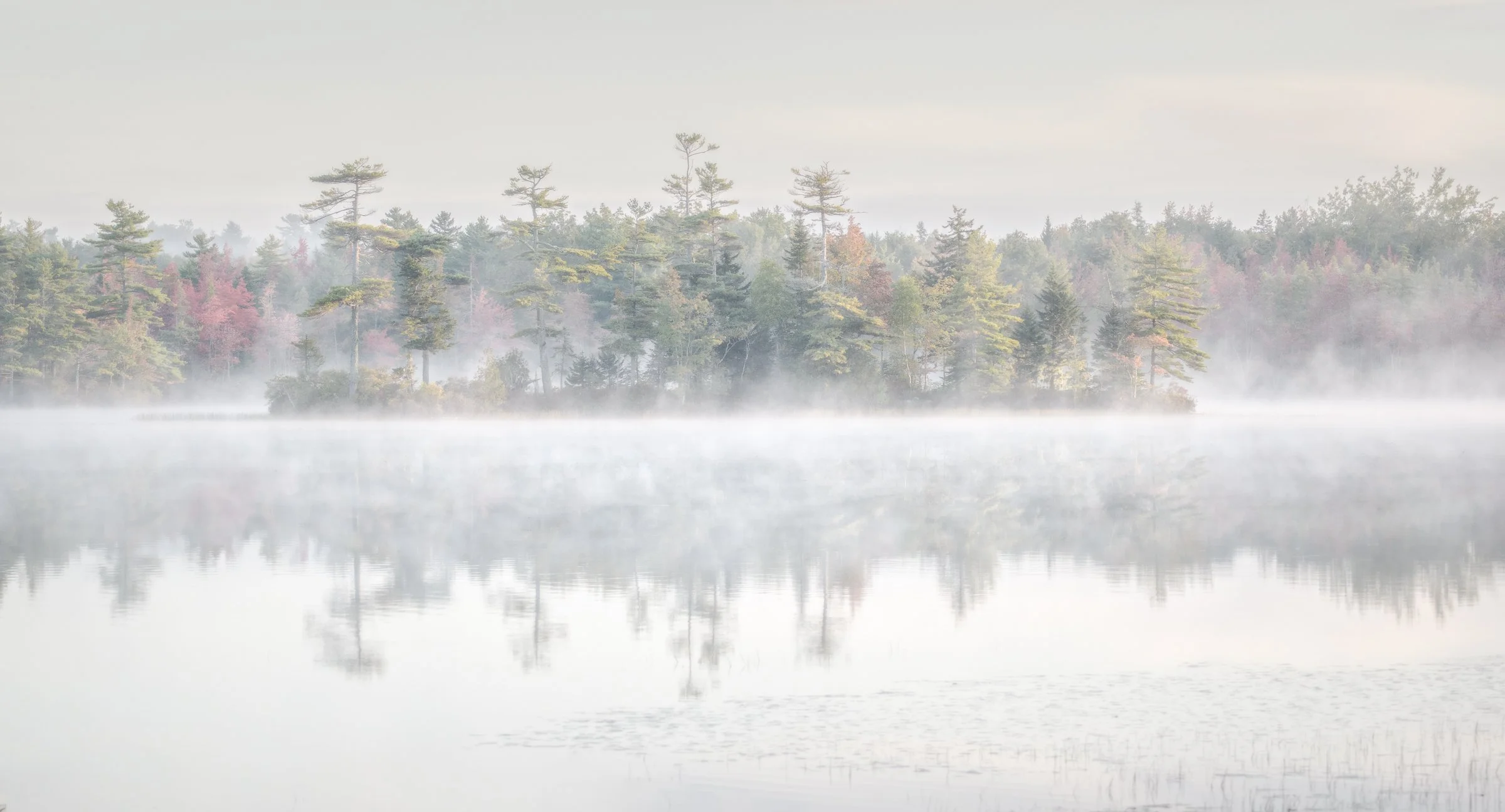 At Peace