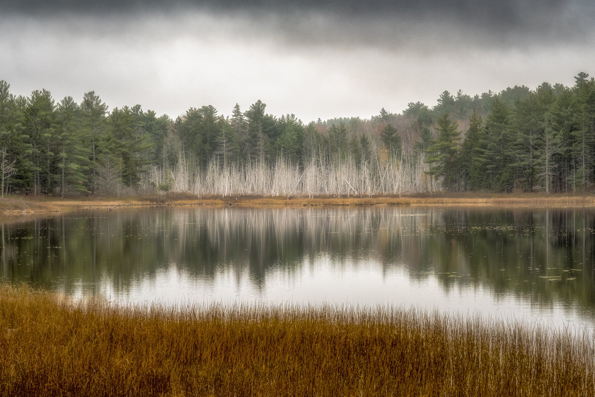 Breakneck Ponds
