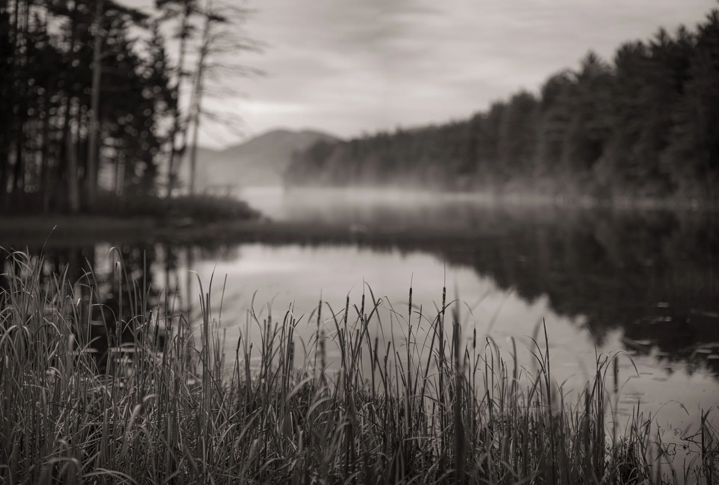Mournful Morning