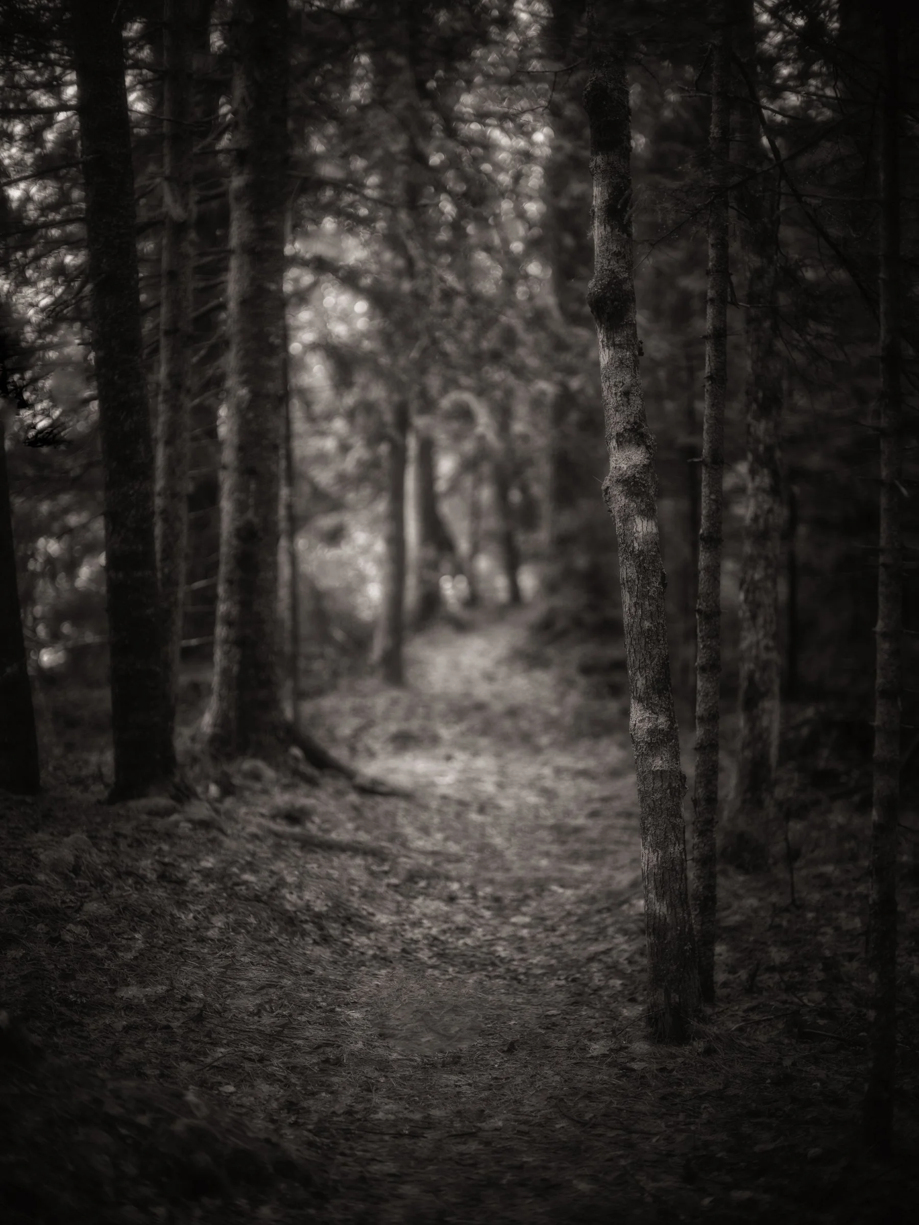 Pathways