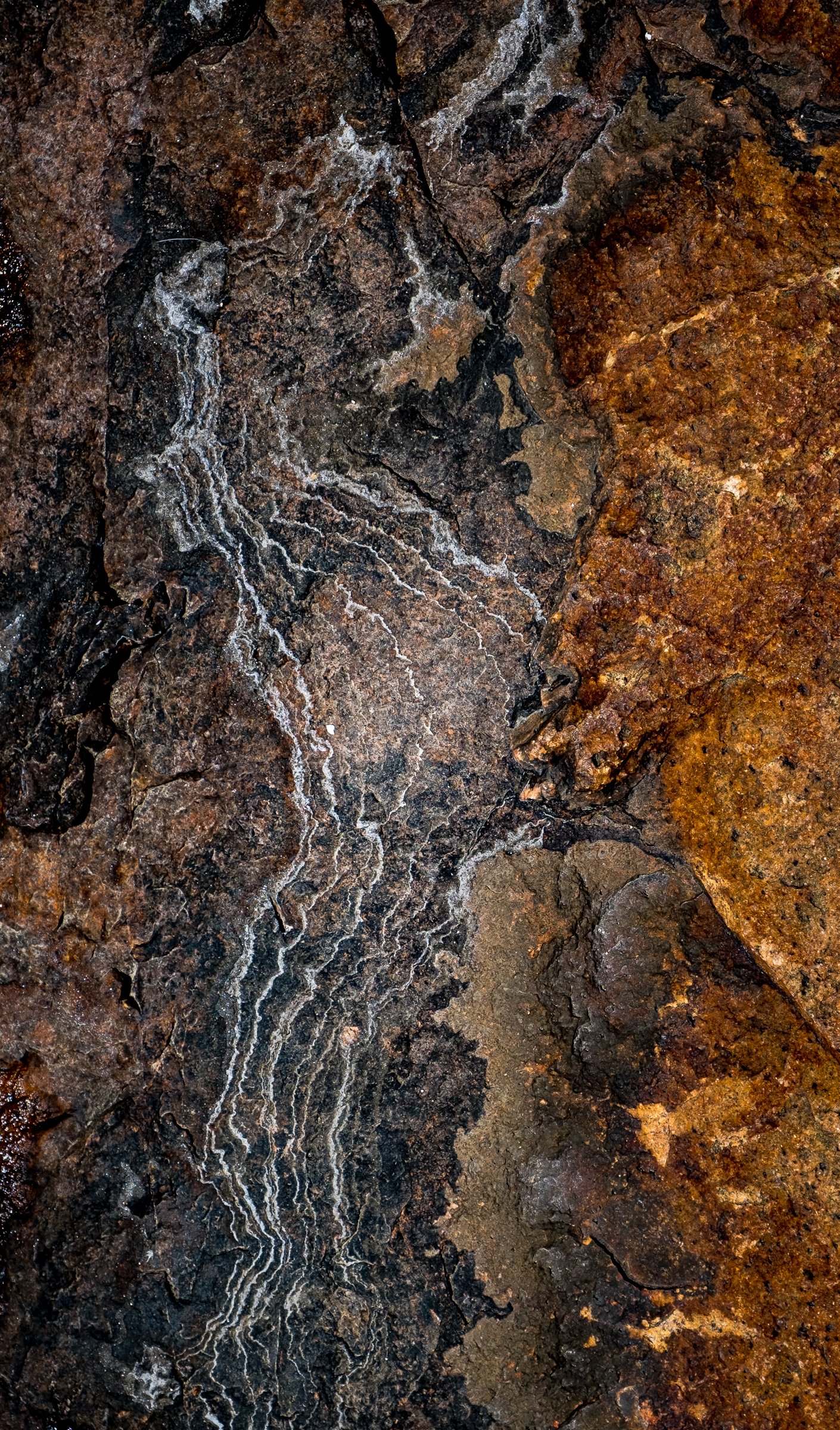Rock Art_004.jpg