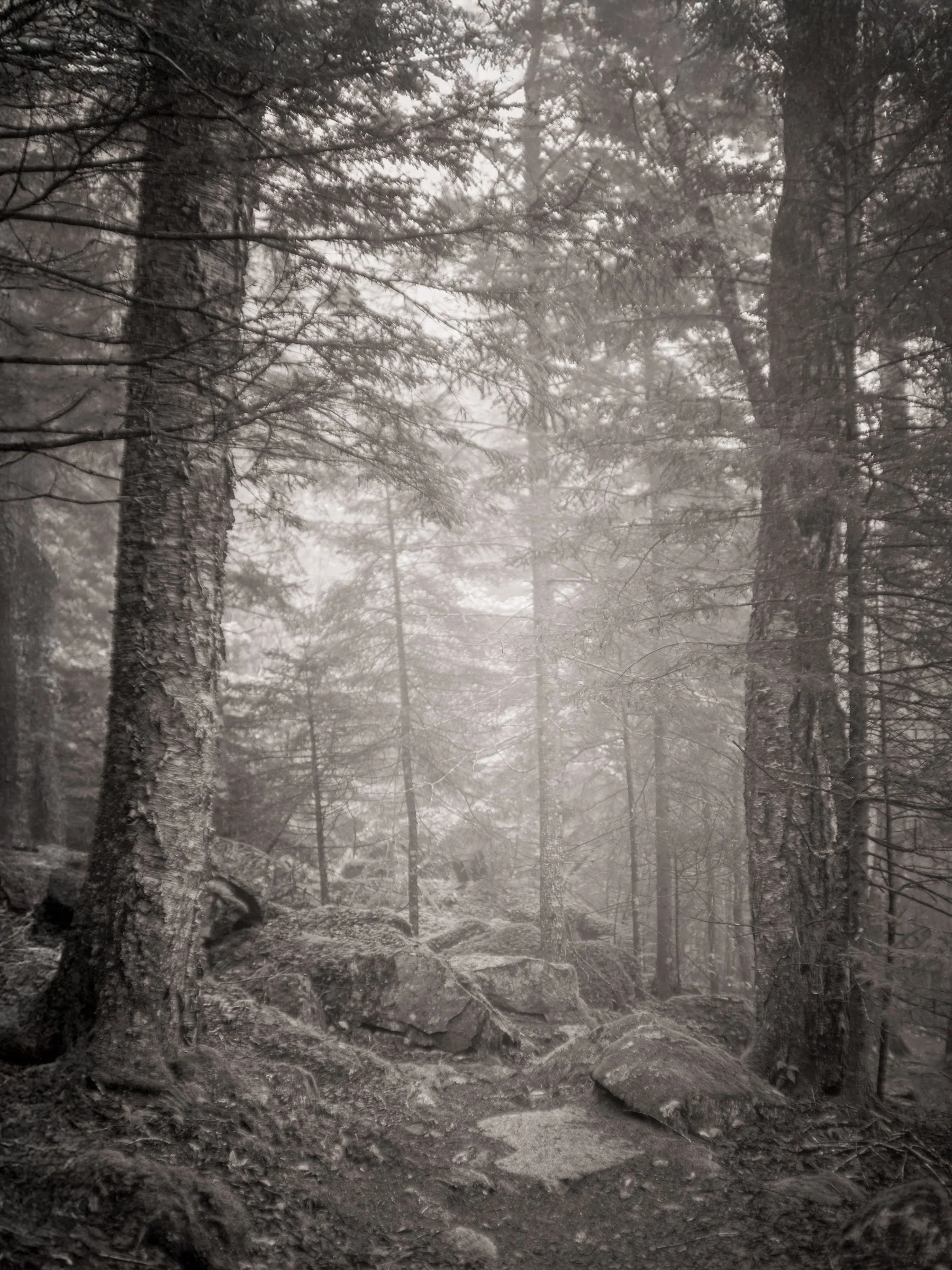 Morning Walk On Beech Mountain_007.jpg