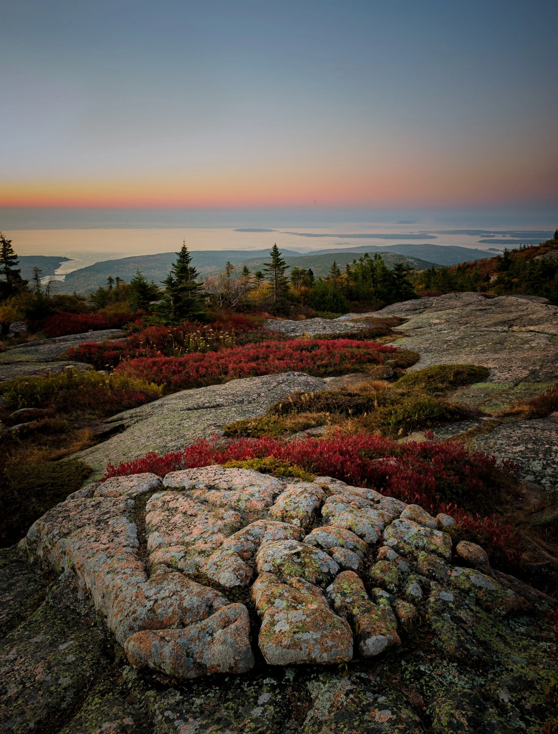 Cadilac Dusk_001.jpg