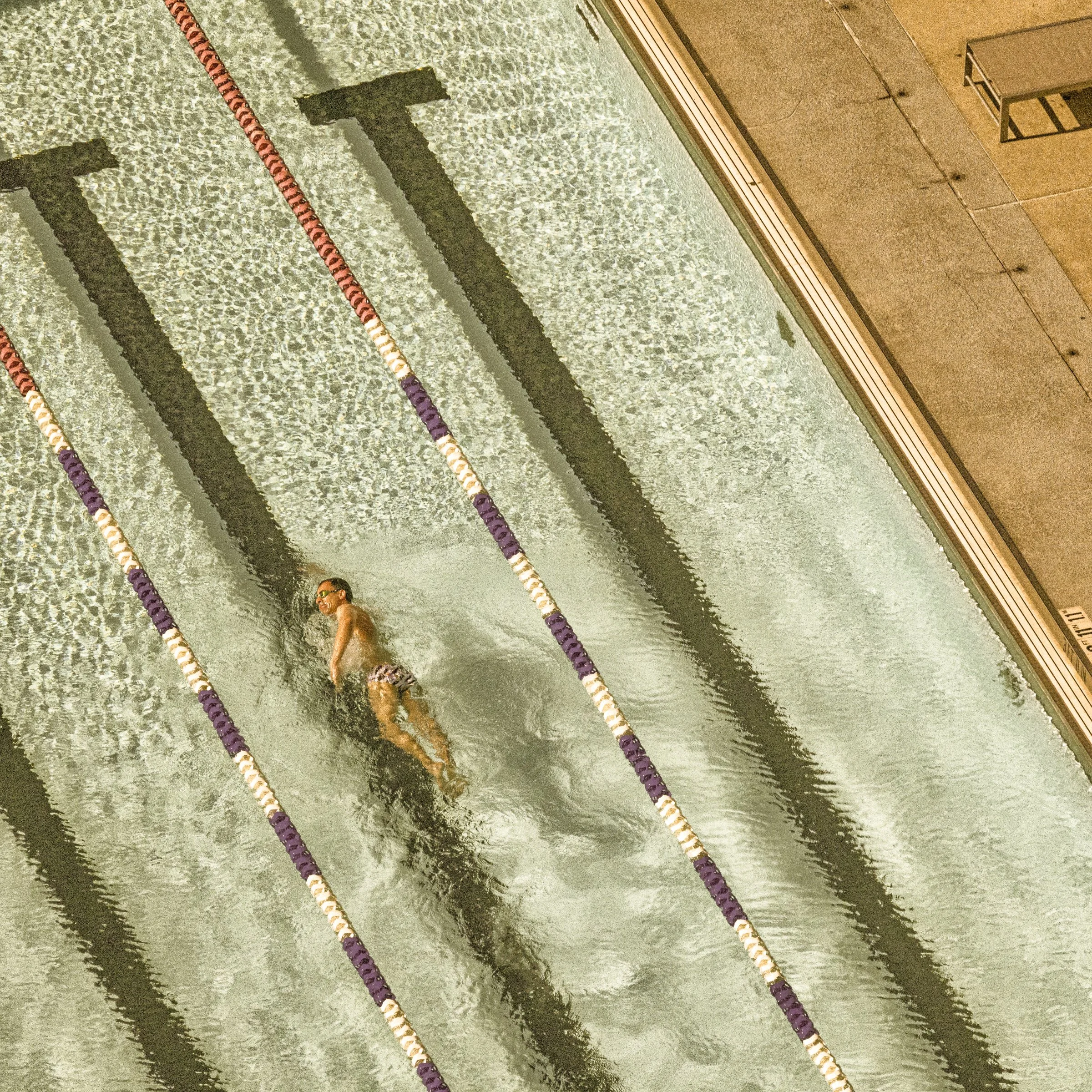 Life From Above_02.jpg